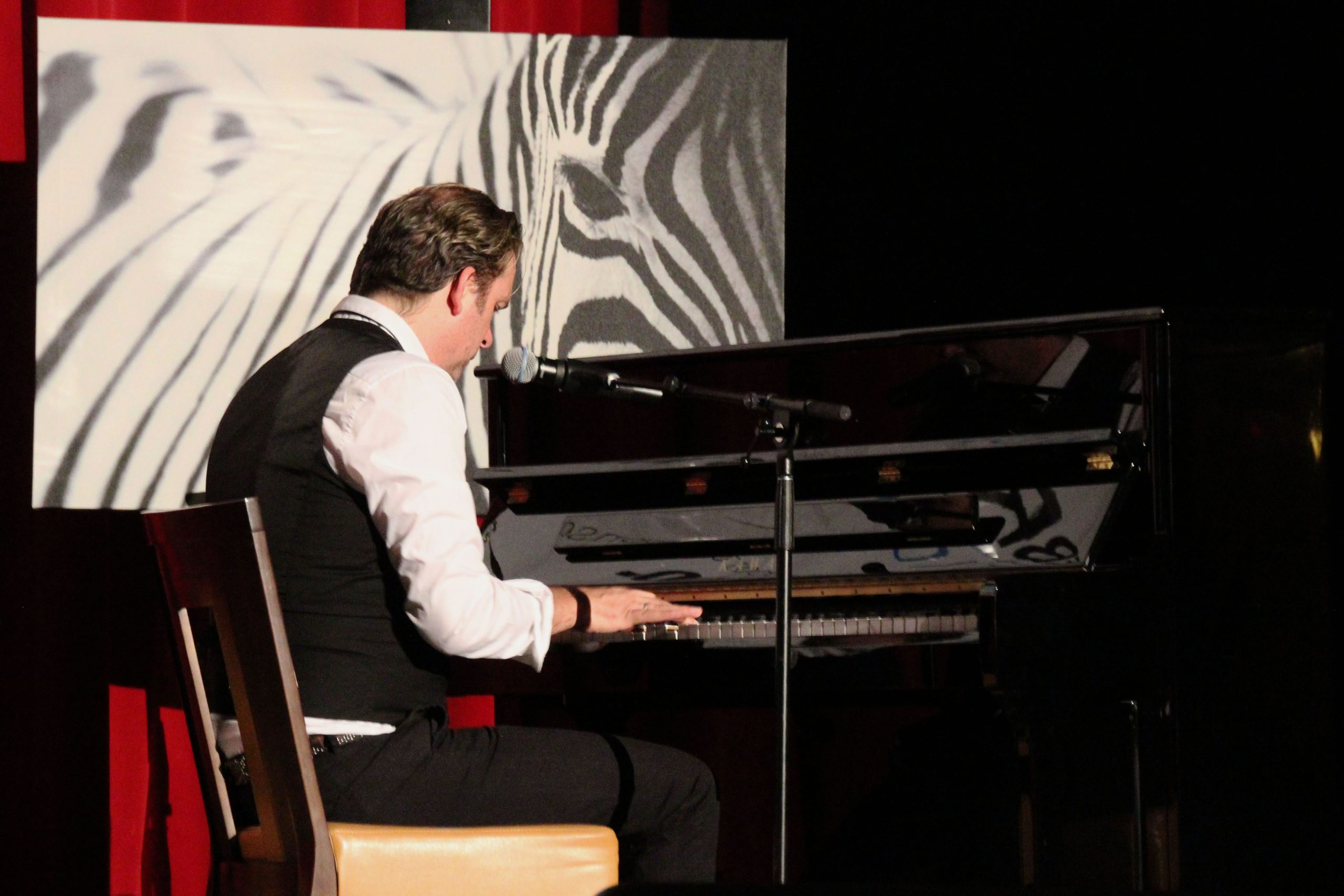 Featured Image for "Life as a Zebra Foundation Benefit Concerts"